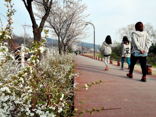 dc208-68d401b25cfea-5266a1480bc41c3b708a9fd050a752c00a2dd413.jpg