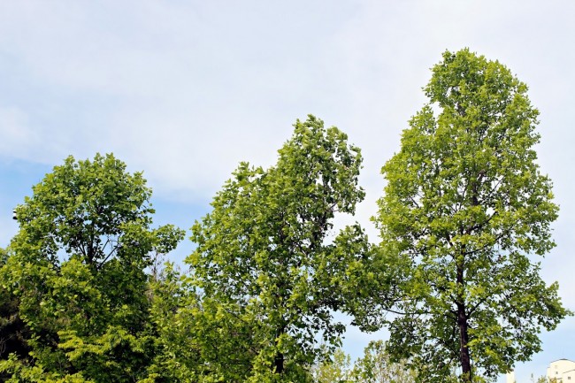uploaded_68d11a1f86f87.jpg
