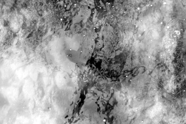 uploaded_68d11c6ec5bb7.jpg