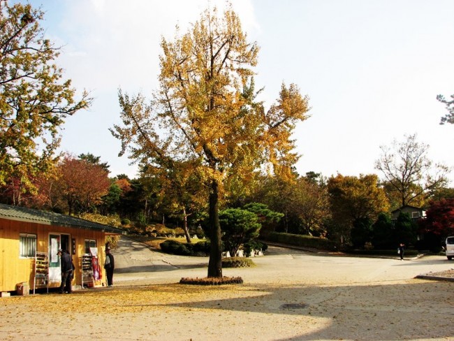 uploaded_68d3ca9e81428.jpg