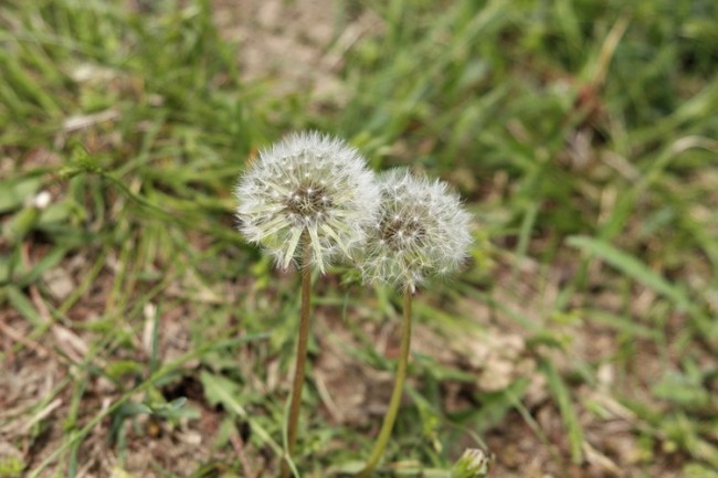 uploaded_68d3d0335168f.jpg