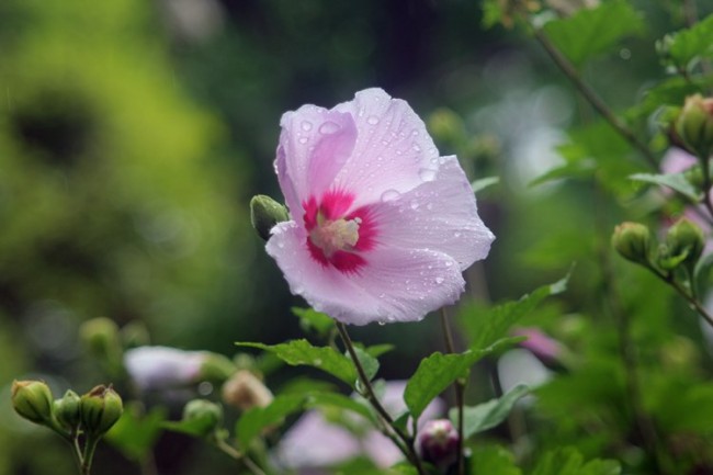uploaded_68db3870027f2.jpg