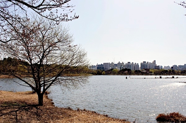 uploaded_68db3870583a4.jpg